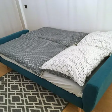 Cozy 公寓 *